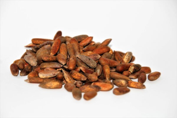 pine nuts