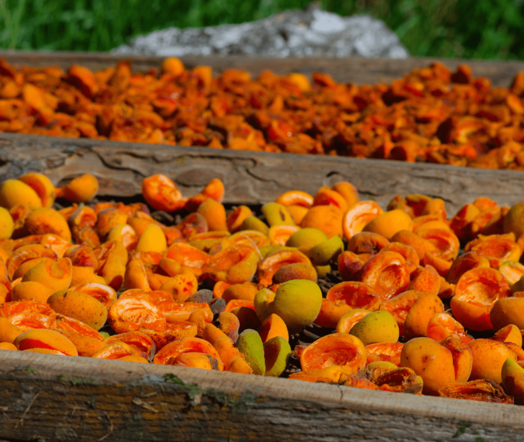 dry apricots in urdu