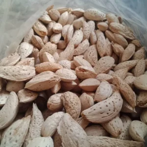 Whole Almonds with Shell